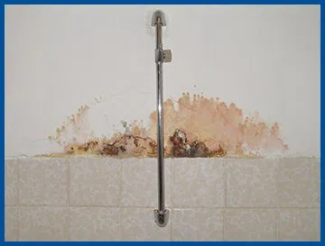 Dania Restoration Company Dania, FL 754-202-0148 - city-wgr-5