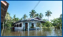 Dania Restoration Company Dania, FL 754-202-0148 Dania Restoration Company Dania, FL 754-202-0148