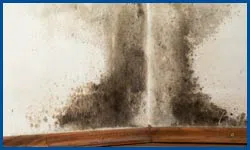 Dania Restoration Company Dania, FL 754-202-0148