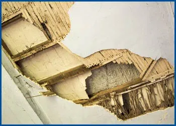 Dania Restoration Company Dania, FL 754-202-0148