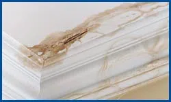 Dania Restoration Company Dania, FL 754-202-0148