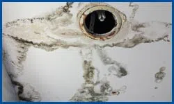 Dania Restoration Company Dania, FL 754-202-0148